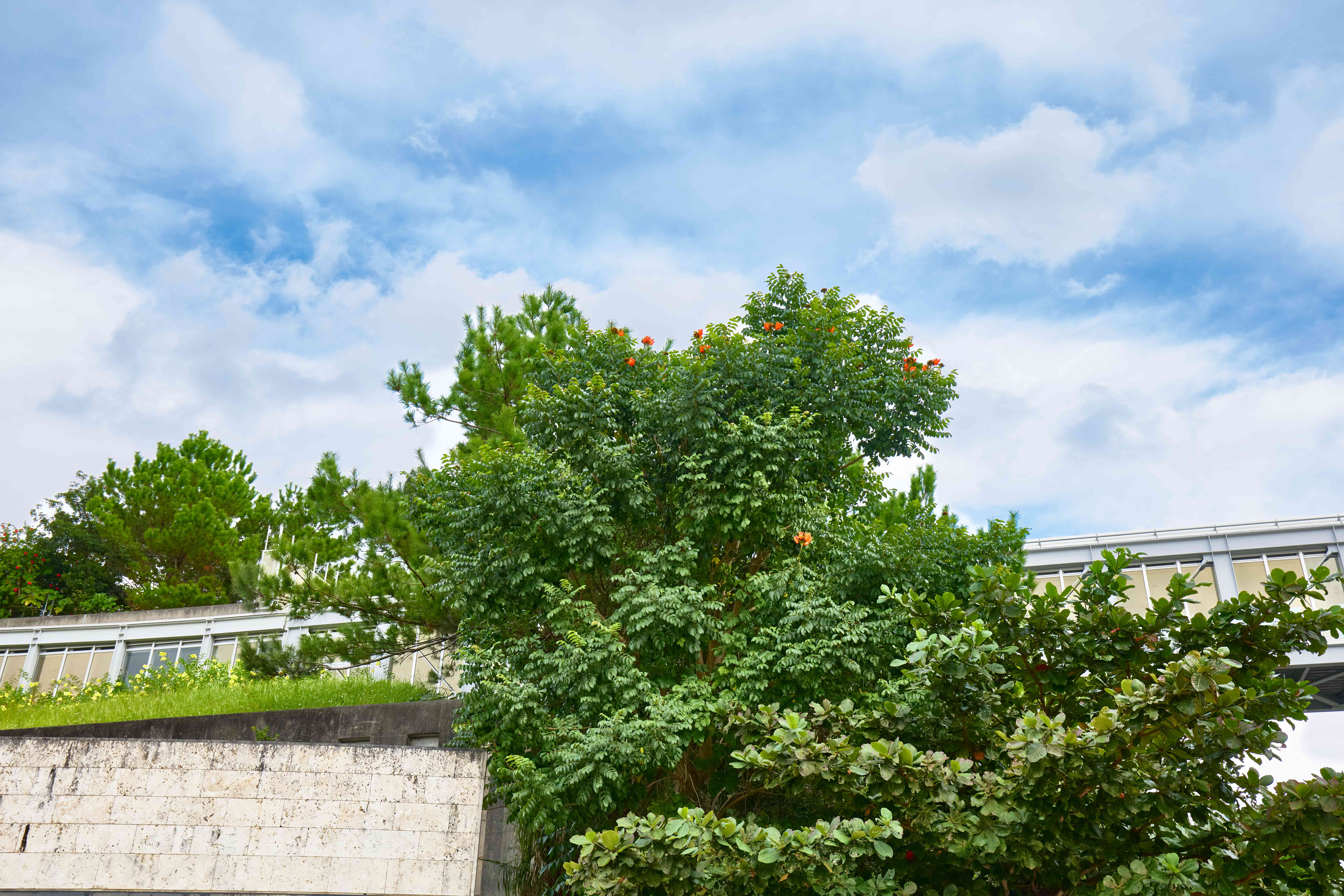 池松先生の写真 2